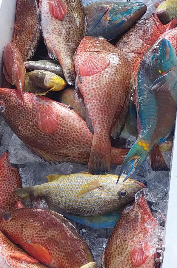 Fresh Cool Love 马里戈特 外观 照片